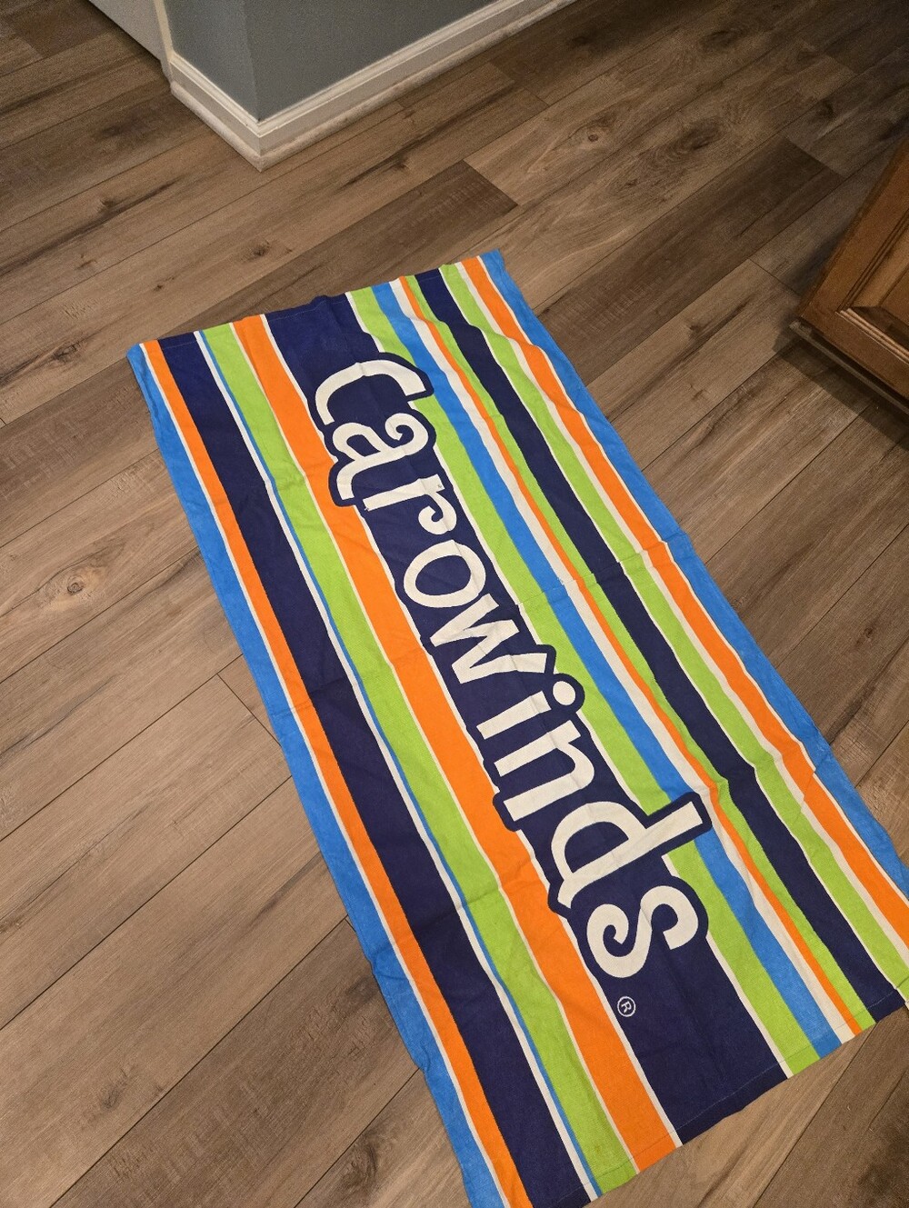 Carowinds Striped Beach Towel – Preowned – 52" x 26"